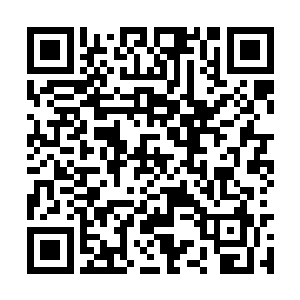 楚子恒的目光落到了静静的站在那里的沐乐瑶身上二维码生成