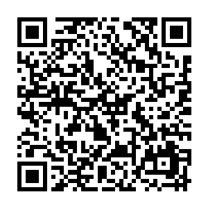 楚旬也不知道自己在这种可以将一个普通人折磨得精神崩溃的剧痛中持续了多久二维码生成