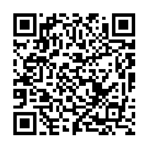 楚旬体内金木水火土五行力量也达成了一个新的平衡二维码生成