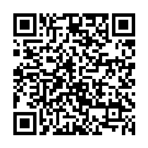 楚旬便等于是要承受识海破碎和灵魂燃烧的双重痛苦二维码生成