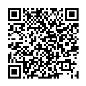 楚旬因为那基因力量而产生的空间能力也已经变得愈发强大二维码生成