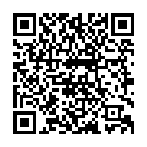 楚旬对于恶鬼的了解可以说已经是超越了绝大多数的阴界强者二维码生成