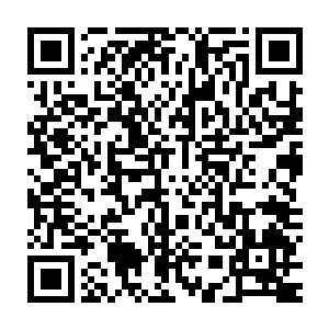 楚旬居然真的掌握了这上古鸿蒙时期都只有东皇太一才掌握的恐怖力量二维码生成