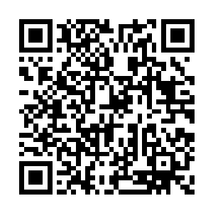 楚旬所过之处那些圣甲虫人要么就被他立毙当场二维码生成