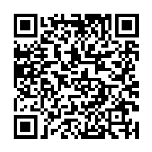 楚旬正在处理着各种有关于海角城和第二世界的情报二维码生成