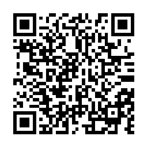 楚旬此刻却是在研究他这次最大的收获――血修罗二维码生成