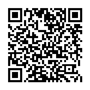 楚旬的身体便在这七彩火焰的焚烧下被炼化大半二维码生成