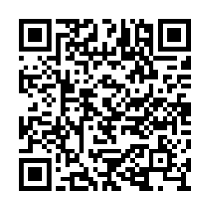 楚旬的这些触须不仅继承了他异形血液的强酸性二维码生成