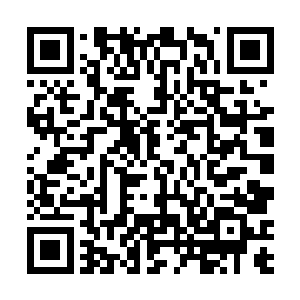 楚旬等人手中竟然还会拥有一个如此强大的机械族生命二维码生成