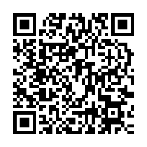 楚旬等人曾经从杨凌的神国大炮上见识过机械族破坏力的可怕二维码生成