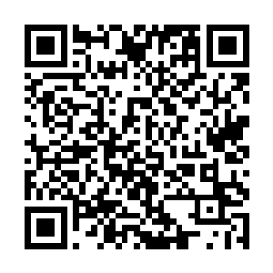 楚旬等人此刻竟然敢如同飞蛾扑火一样朝着自己冲来二维码生成