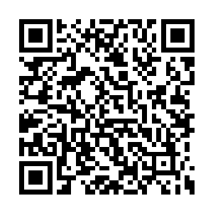 楚晨也没想到自己的狮子吼会在这种情况下晋级二维码生成