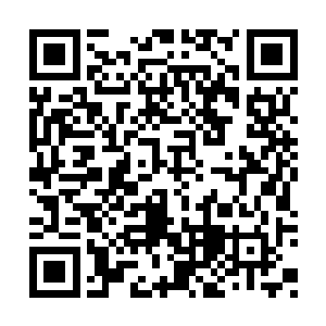 楚暮将真剑宗的圣级强者全部召集道宗主峰之中二维码生成