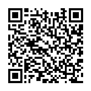 楚暮就感觉到一道道锐利的目光集中在自己的身上二维码生成