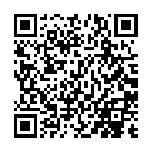 楚暮就感觉到浓郁的天地元气・简直比中转星更浓郁一些二维码生成