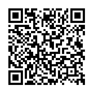 楚暮并没有找到第二株能够提升修为的奇珍异宝二维码生成