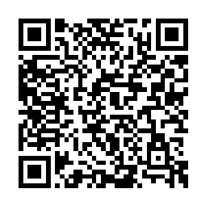 楚暮开始参悟第三种力量本源――水之力量本源二维码生成