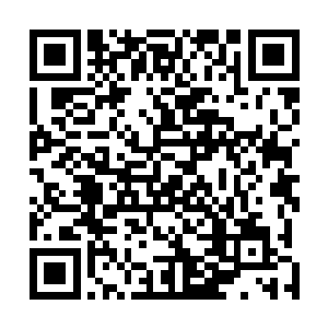 楚暮总共炼化了二十一粒中品元丹相当于两百一十斤元液二维码生成