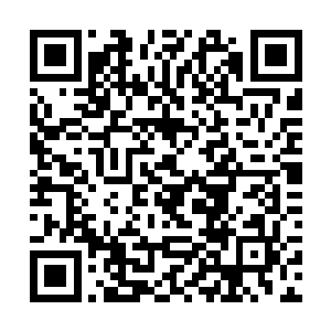 楚暮是打算借助龙首山的古怪强大力场所带来的压力二维码生成