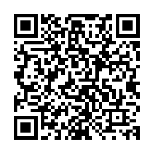 楚暮的天级顶阶不灭剑意也丝毫不逊色于他的神级初阶普通剑意二维码生成