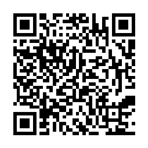 楚暮迅速将三个死亡的神凝境剑者空间腕轮等等收取二维码生成