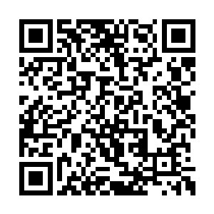 楚暮连续阅读三遍之后方才捕捉到一点不同之处二维码生成