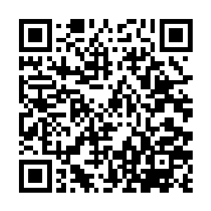 楚暮顿时发现风翼妖龙已经将那十颗妖核全部消化了二维码生成