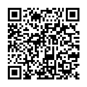楚枫此刻已然暴露了…自己那龙纹级皇袍界灵师的身份二维码生成