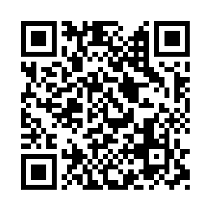 楚枫看着这个派来的一身黑衣的司机一样的人二维码生成