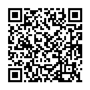 楚楚可怜的眼神让释羽薰将拒绝的话语咽了下来二维码生成