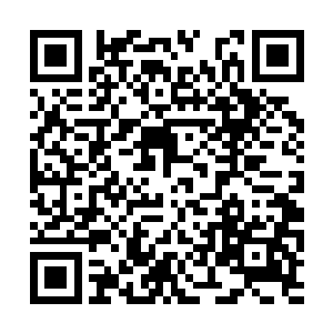 楚爷爷就不怕筹谋失败后云禄会对楚家人做些什么二维码生成