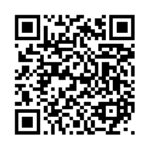 楚翰青以及在场的诸位长老级别的人二维码生成