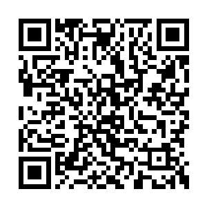 楚航等人也知道现在他们对楚旬而言完全是拖累二维码生成