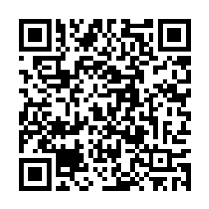 楚门已经察觉到了背后的真相――甚至亲眼看到了二维码生成