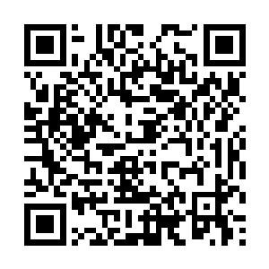 楚门那分崩离析的表情将内心所有的黑暗都汹涌起来二维码生成