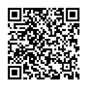 楚阳回过头这才看到雷鬼用哀怨的眼神看着自己二维码生成