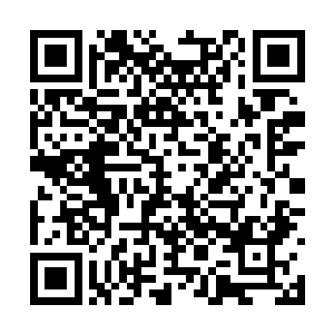 楼兰庭这厮不知道从哪儿勾搭出来的那些南疆遗族二维码生成