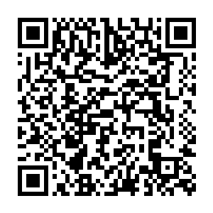 楼梯下面已经传来了姥姥叶慧琴和陈露萍走上来的说话和脚步声了二维码生成