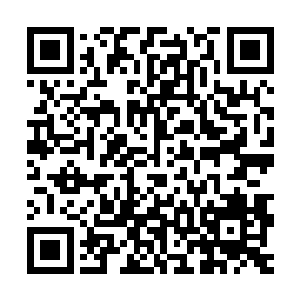 楼梯口和正对着电梯的休息室里都有黑衣大汉对外来者虎视耽耽二维码生成