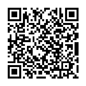 樊玉菲等人也是一脸期待看到结果的按捺不住神色二维码生成