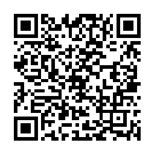 模拟八重仙化境期的经络走向和细节自然不会有错二维码生成