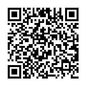 樱花杀手在墨西哥的举动已经是明目张胆的恐怖行动二维码生成