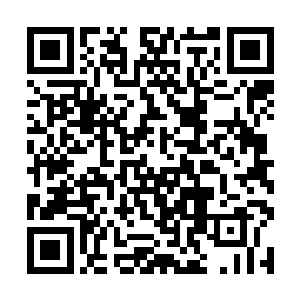 橙橙那家伙这一次……怕是真做了同归于尽的打算了二维码生成