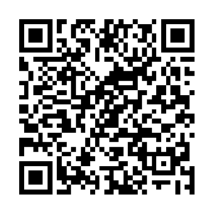 欢喜哥从来都没有怀疑过自己的爸爸在养兰上的成就……二维码生成