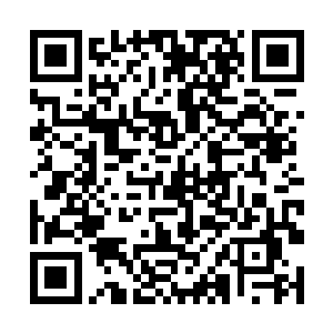 欢喜哥完全不知道当自己真正面对的时候应该怎么做二维码生成