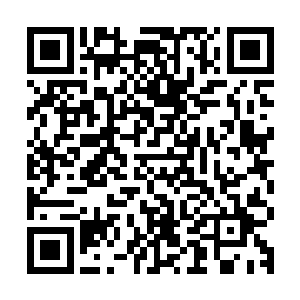 欢喜哥拼凑出的这朵兰花从此后就有了一个正式的名字百草仙子二维码生成