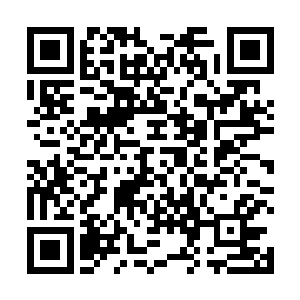 欢喜哥的心里一直都在回味着刚才哈特曼说过的话……二维码生成