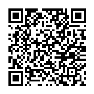 欢快的虎鲸叫声中配上一脸二蛋子表情的劳伦真的很有喜感二维码生成