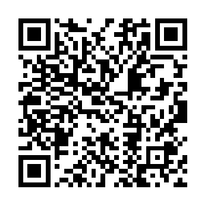 欢迎诸位前辈来参加妾身双凤帮韩长老的晋级天将大典二维码生成