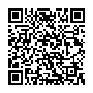 欣姐和沈冰是可以进入燕大校园里的比武区域的二维码生成